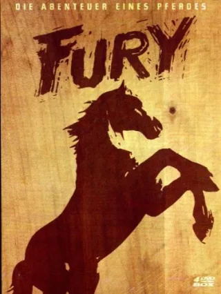 Fury (4 DVDs WoodPak ltd. Edition) [Limited Collector's Edition]