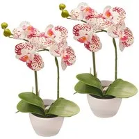 Kunstorchidee Orchidee Phalaenopsis, Creativ green, Höhe 33 cm, im Design-Topf
