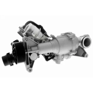 Vaico Wasserpumpe V30-50101