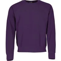 Fruit of the Loom Sweatshirt Classic Raglan Sweat