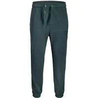 Jack & Jones Sweathose JPSTKANE BLEECKER SWEAT PANTS BF