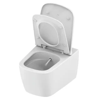 TECEneo Dusch-WC 9700214 mit Duschfunktion, Set mit Deckel Slim, Kaltwasser, weiß