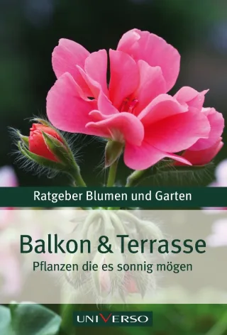 Ratgeber Garten > Balkon und Terasse - Pflanzen die es sonnig mögen