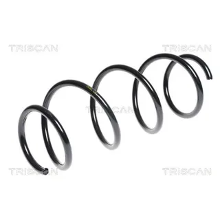 Triscan Feder vorne Mercedes C-Klasse W204 E-Klasse 875023133