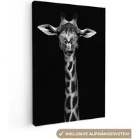 OneMillionCanvasses® Leinwandbild Giraffe - Tiere - Porträt - Schwarz, Fotodruck (1 St), Leinwand Canvas Wandbild, Wanddekoration 20x30 cm