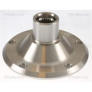 Triscan Radnabe Hinten BMW 3er Z4