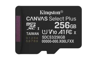 Kingston Canvas Select Plus | sdcs3/256gbsp | Flash-Speicherkarte