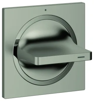 GROHE Unterputz-Ventil Oberbau Allure 19334_1 ohne Unterputz-EBK Hebelgriff satin steel, 19334MS1 19334MS1