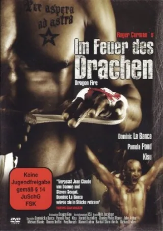 Im Feuer des Drachen (Dragon Fire) [DVD]