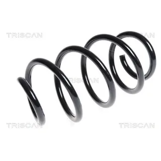 Triscan Feder vorne Audi Tt 875029230