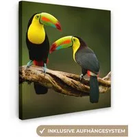 OneMillionCanvasses® Leinwandbild Vögel - Tukan - Zweig - Tiere - Regenbogen, Fotodruck (1 St), Wandbild, Deko Schlafzimmer Wohnzimmer Flur 20x20 cm