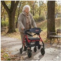 abc HOME Rollator Outdoor Transportstuhl bis 135 kg, XXL Räder 9,5"