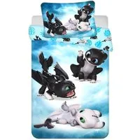 DreamWorks Kinderbettwäsche Drachenzähmen leicht gemacht – 100x135 cm & 40x60 cm