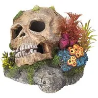 Nobby Aquariendeko Aquariendekoration Totenkopf mit Pflanzen 13,5 x 13,5 x 10,5 cm