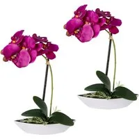 Kunstorchidee Phalaenopsis, Creativ green, Höhe 30 cm, 2er Set, in Kunststoffschale