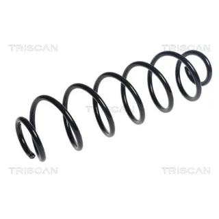 Triscan Feder hinten Citroen C4 875028293
