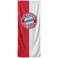 FC Bayern München Fahne FC Bayern München I Hissfahne Hochformat Logo 400x150 cm I Rot/Weiß
