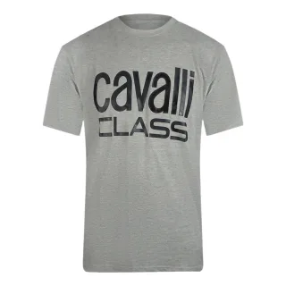 Cavalli Class - T-shirt Der Marke Bold In Grau