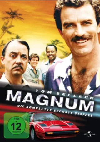 Magnum - Die komplette sechste Staffel (5 DVDs)