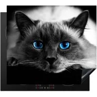 MuchoWow Herd-Abdeckplatte Katze - Augen - Grau - Blau, Vinyl, (1 tlg), Küche Herdabdeckplatte Ceranfeld Vinyl Einteilig, 59x52 cm