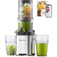 AMZCHEF Slow Juicer CE-ZM19OT02M-SV, 220 W