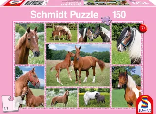 Schmidt Spiele SCH56269 Pferdeträume Kinderpuzzle 150 Teile rosa