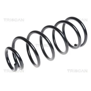 Triscan Feder Hinten Kia Sorento 1