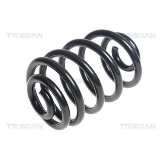 Triscan Feder hinten BMW Z4 875011166