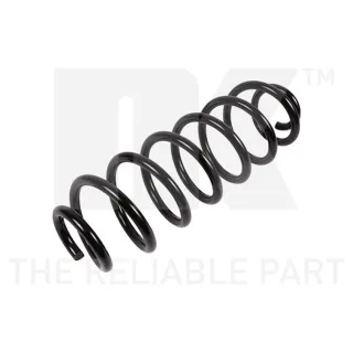 NK Feder hinten VW Golf Jetta