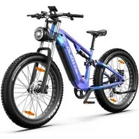 DUOTTS E-Bike Cityrad E26 48V 20Ah 960Wh 120km Damen u. Herren 26x4,0 8Gang Elektrisches, 8 Gang, Kettenschaltung, Heckmotor, 960 Wh, Fat-Tire E-Mountainbike e bike für herren u.damen