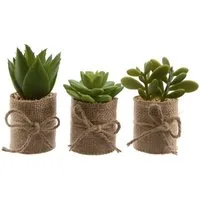 Kunstpflanze, Kaemingk, Sukkulenten künstlich im Topf 12cm, 3er Set