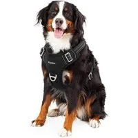 Funfox Hunde-Sicherheitsgeschirr Hundegeschirr für große Hunde No Pull Sicherheitsgeschirr XL Schwarz