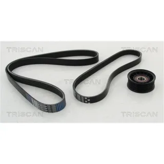Triscan Keilrippenriemensatz Ford C-Max Focus Volvo C30 S40 V50 864210018