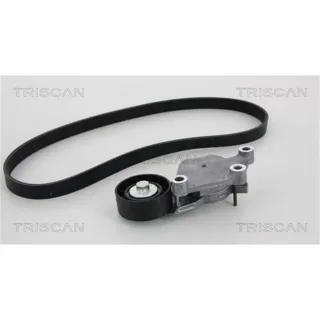 Triscan Keilrippenriemensatz Citroen Ford Mazda Peugeot Suzuki Volvo