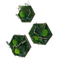 Gedankenwunder Manufaktur Bild Efeuwald Moosbild mit Ast & Efeu Hexagon Sechseck Wabe