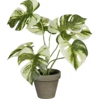 Kunstpflanze Mica Decorations Monstera polypropylene 30 x 24, Mica Decorations