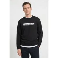 Calvin Klein Sweatshirt EU SPORTSWEAR GRAPHIC CREWNECK Regular fit mit Logodruck