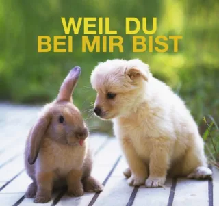 Du Bei Mir Bist