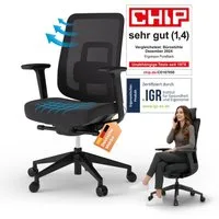 Ergotopia Bürostuhl PureBack ergonomischer Schreibtischstuhl