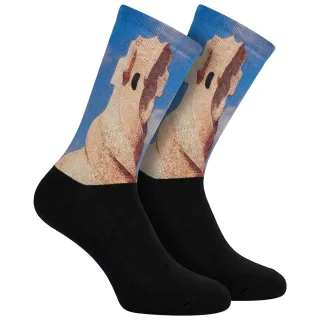Lustige bedruckte lange Socken für Männer und Frauen