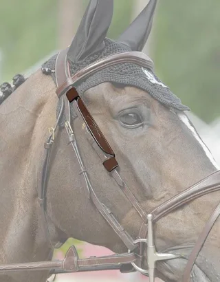 Blinkers DY FEI-zugelassen