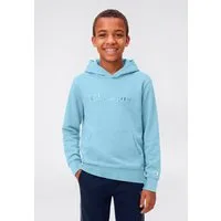 Champion Kapuzensweatshirt ICONS TONAL Hoodie with Large Logo mit Kapuze, Langarm, aus Baumwolle und Polyester, gerader Abschluss