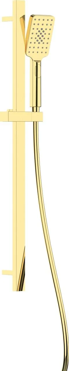 Neuesbad Serie 100 Brauseset mit 3 Strahlarten, Oberfläche: gold NB1DENGA_Z52K1