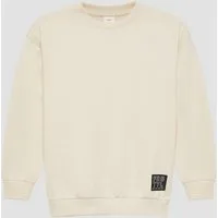 s.Oliver Sweatshirt Sweatshirt Unisex Sweatshirt mit Rippbündchen und Print