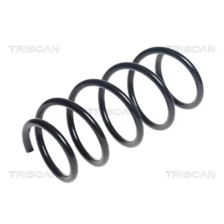 Triscan Feder vorne Fiat Punto 199