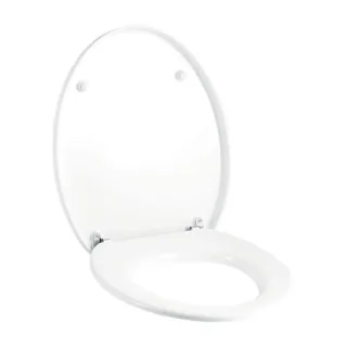 Geberit Cleo WC-Sitz 573660000 weiss, Scharniere verchromt, für WC 205900