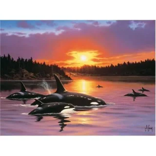 Ravensburger - Orkas im Abendrot 1500 Teile Puzzle