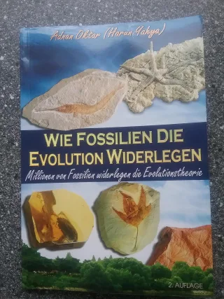 Wie Fossilien die Evolution wiederlegen