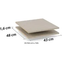 rauch Einlegeboden Zubehör für Rauch-Schwebetürenschränke ORANGE, 2er-Set Breite 43 cm, Tiefe 48 cm