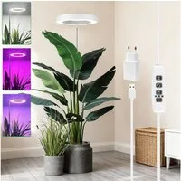 Laybasic Pflanzenlampe 72LEDs Pflanzenlampe Vollspektrum,Garten Zimmergewächshaus Growlight, 35–155 cm höhenverstellbar,Dimmbare Helligkeit,3/9/12H Timer